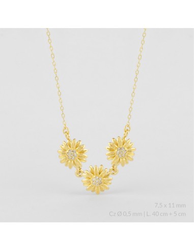 Gargantilla de Plata de Ley